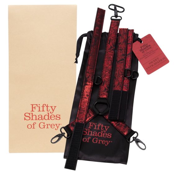 Petdeset odtenkov sive - komplet kravat za vrat (črna in rdeča)