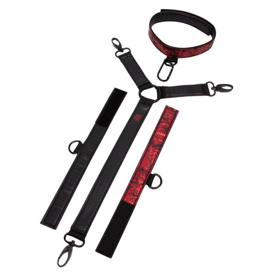 Petdeset odtenkov sive - komplet kravat za vrat (črna in rdeča)
