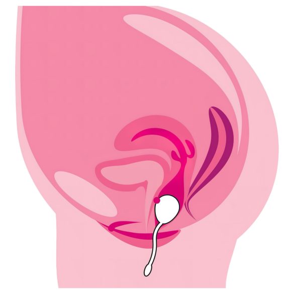 You2Toys - vibracijska jajčka na daljinsko upravljanje - akumulatorska vijolična