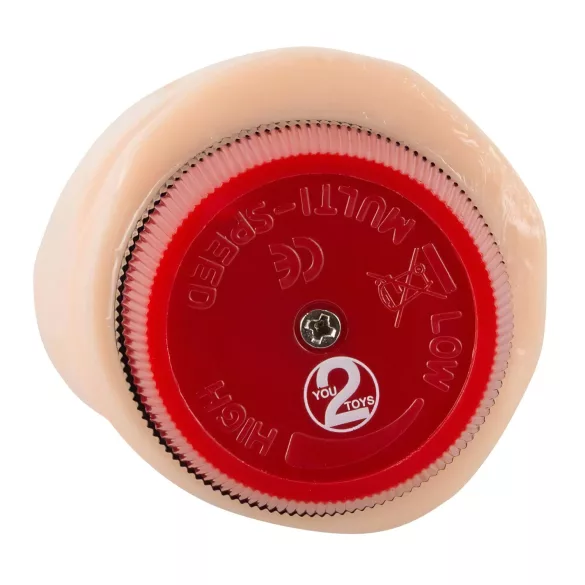 You2Toys - vibrator Pascha