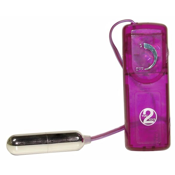 You2Toys - Erotična presenečenja - vibrator set (12 delni)