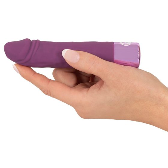 You2Toys Elegantni realistični - vodoodporni vibrator za polnjenje (vijolična)