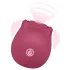 EIS Blush&Bloom - vibrator s sesanjem in vibracijami - rdeča