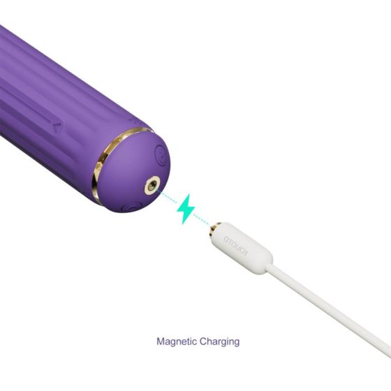 Magic Stick - vibrator z zamenljivo paličico (vijolična)