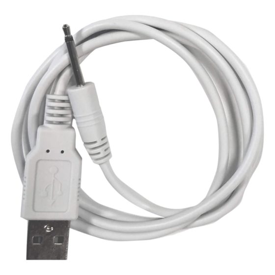 Polnilec LOVENSE - polnilni kabel USB