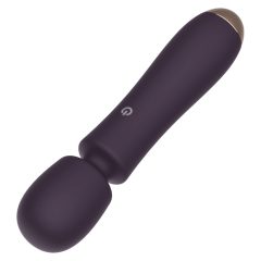   Raytech - Vodoodporni masažni vibrator z možnostjo polnjenja (vijolična)