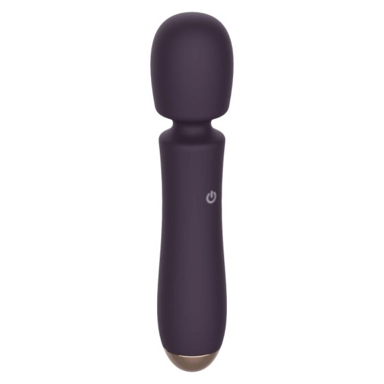 Raytech - Vodoodporni masažni vibrator z možnostjo polnjenja (vijolična)