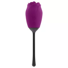   Playboy - vibrator za klitoris z jezičkom - vodoodporen, polnilec, vijoličen