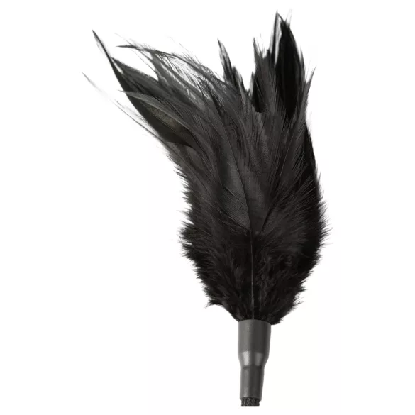 Sei Mio - erotični bič in peresnica - črna