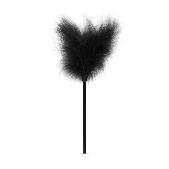 Secret Pleasure Chest - BDSM komplet za izkušene - 14 delov - črna