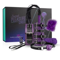 Secret Pleasure Chest - napredni komplet BDSM (14 kosov)