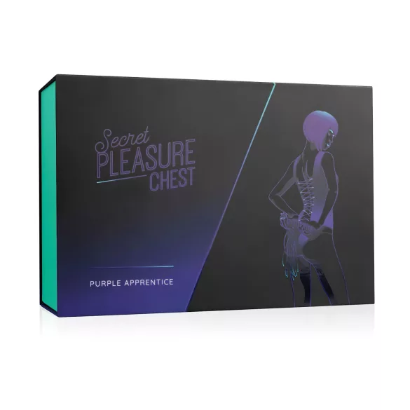 Secret Pleasure Chest - BDSM komplet za izkušene - 14 delov