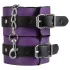 Secret Pleasure Chest - BDSM komplet za izkušene - 14 delov