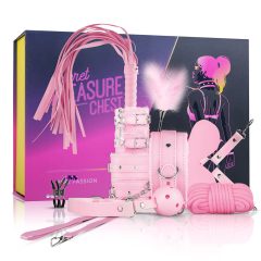 Secret Pleasure Chest - napredni BDSM set - 14 kosov (roza)