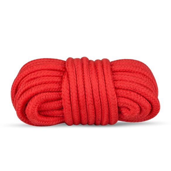 Secret Pleasure Chest - BDSM set za napredne - 10 delov - rdeča