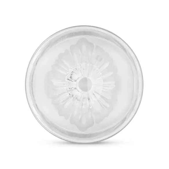 FPPR. - dvostranski masturbator - vagina in anus - prozoren