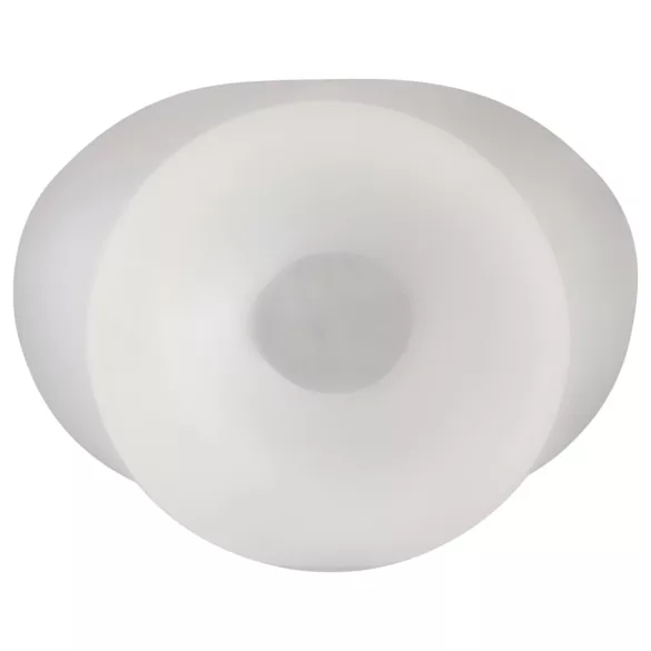 Perfect Fit - testisna vrečka in raztegljivi obroč - XL - prozoren