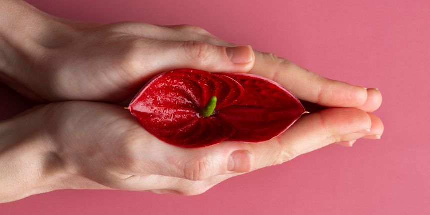 Stimulacija klitorisa z diskretno igračko za užitek, lovesexshop.si sex shop