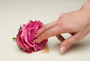 Draženje muce: Nasveti za prstno igro!